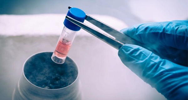 Surrogacy With Frozen Embroys in India