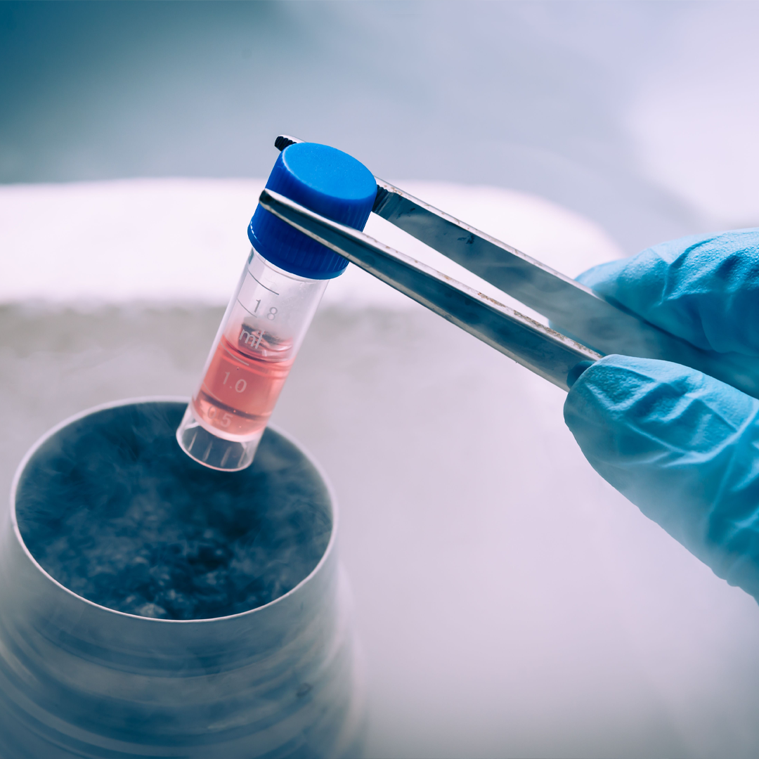 Best Surrogacy With Frozen Embroys Centre in India Best Surrogacy With Frozen Embroys Centre in India