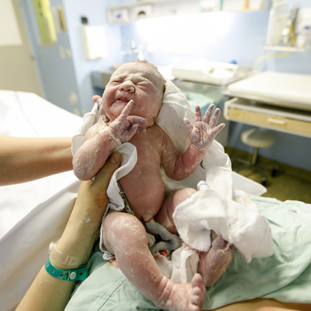 Best Surrogacy With Self Egg Centre in India Best Surrogacy With Self Egg Centre in India